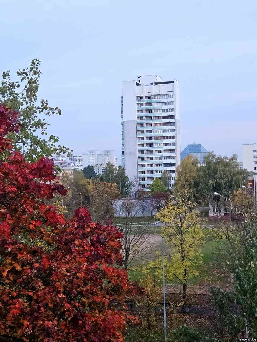 2-комнатная квартира, Калиновского, 30, 1949 рублей: фото 11