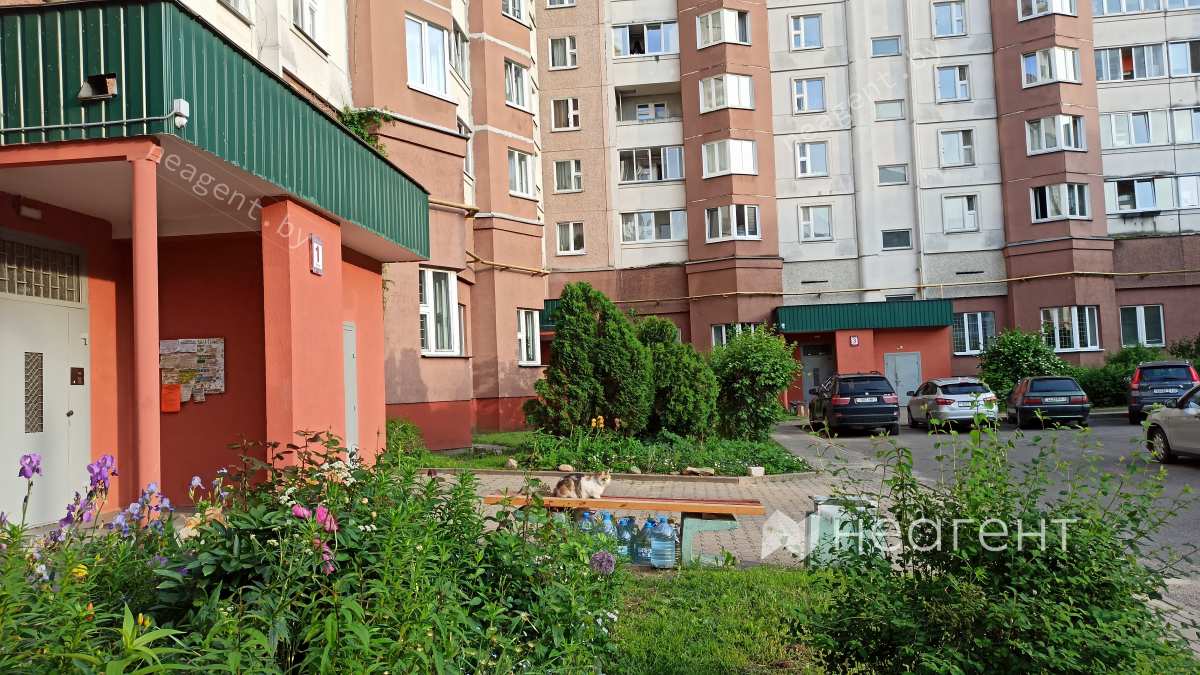 Янки Лучины, 6