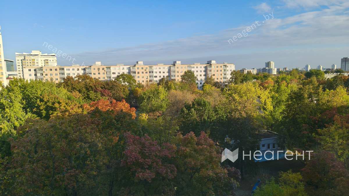 просп. Партизанский, дом 30, корп. 2, вид из окна 