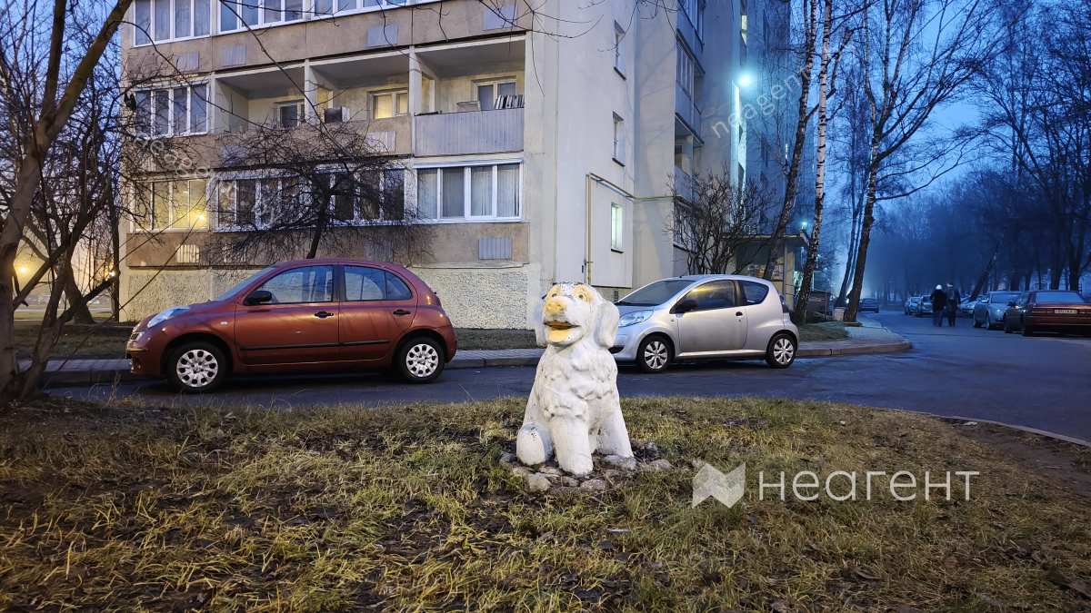 просп. Пушкина, дом 38