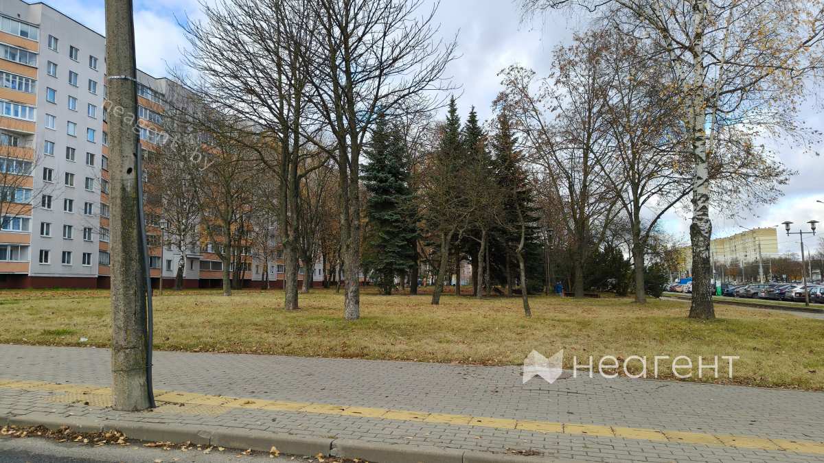 просп. Рокоссовского, дом 84, аллея со стороны проспекта.