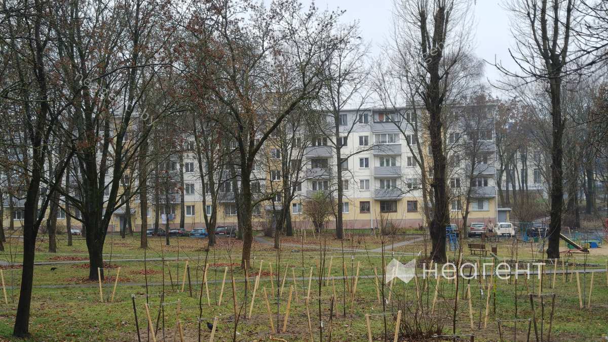 улица Белинского, дом 6