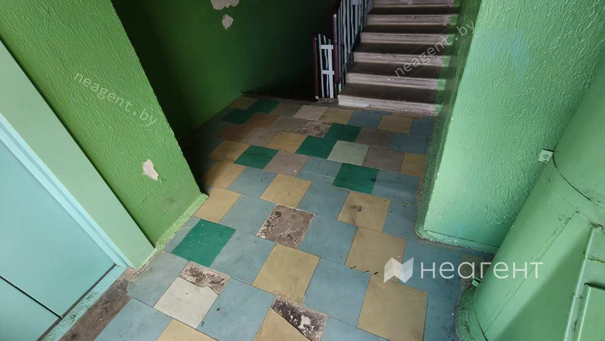 ул. Беломорская, дом 14, вид из окна