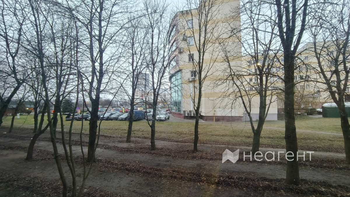 улица Богдановича, дом 102, вид из окна