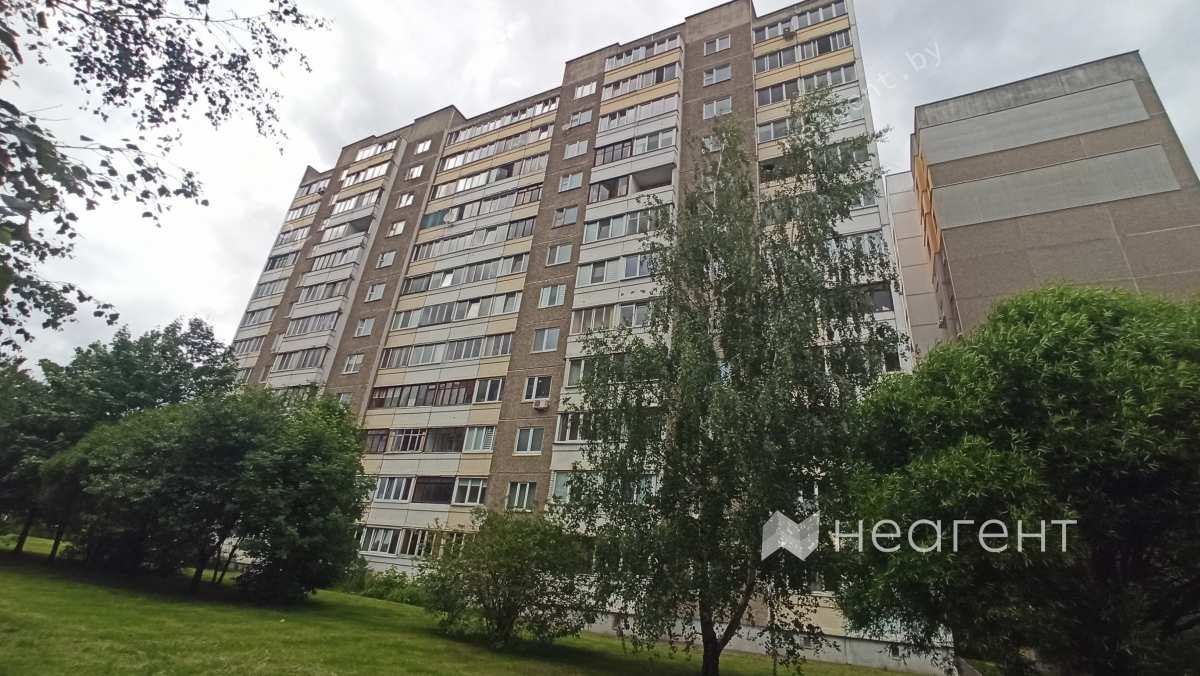 улица Лучины, дом 50