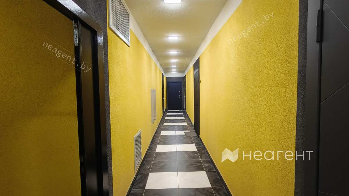 ул. Михаила Савицкого, дом 1, интерьер тамбура 