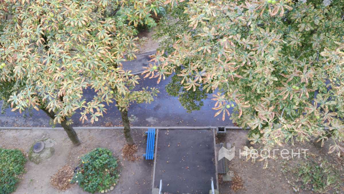 ул. Уручская, дом 13, вид в окно 