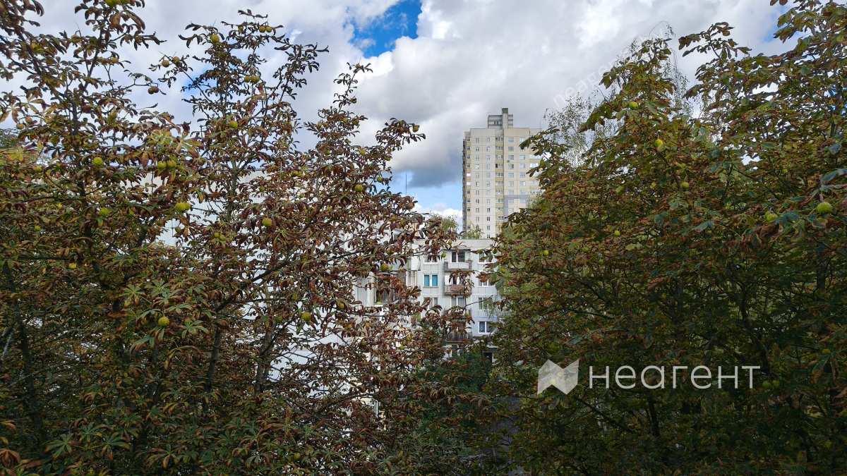 ул. Уручская, дом 13, вид на улицу